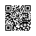 22811-033-010 Рукоятка муфты