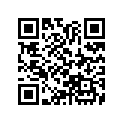 22902-001-020 Комплект колец
