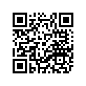 22H-27211-01-00 ﾍﾟﾀﾞﾙ,ﾌﾞﾚｰｷ