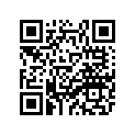 22J-81847-50-00 O-RING