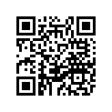 22W-22199-00-00 