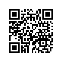 22W-25381-00-00 
