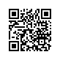 23119-393-003 Ring (48mm)