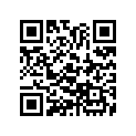 23133-393-000 Guide,prim.chain