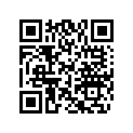 232862412 Scare nut M6