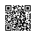 234-17428-00-00 SHIM 2