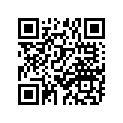 234-84312-60-00 SOCKET