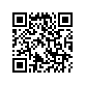 23427-399-000 Bush (16.5mm)