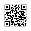 23431-065-901 GEAR,M.SECOND
