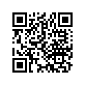 23466-743-004 CHAIN(35X30)