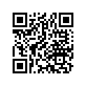 23466-743-611 CHAIN(35X31)