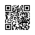 23561-461-000 Shim B (1.14)