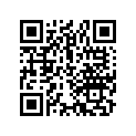 23567-461-000 Shim H (1.38)