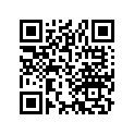 23577-461-000 Shim R (1.78)
