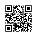 237-21110-00-33 FRAME