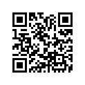23811-206-000 Plate
