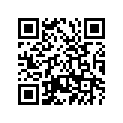 239-14172-00-00 Жиклер