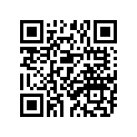 239-17141-00-00 