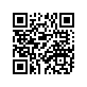 239-17211-00-00 