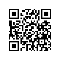 239-17221-00-00 