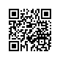 239-17251-00-00 