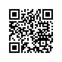 23941-969-000 Gear (47t)