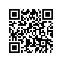 23P-11413-20-00 Подшипник Скольжения