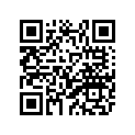23X-25330-00-00 Колодки Тормозные (К-т 2 шт.)