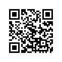 240-13161-00-00 
