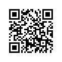 240-21110-00-33 FRAME