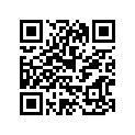 240-25161-00-00 