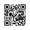 2406-588 PANEL,SIDE-RH (GZ)