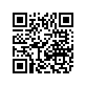 2411-129 DECAL,GRAPHIC-FRONT SIDE-1000 MP-LH
