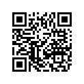 2411-131 DECAL,GRAPHIC-REAR SIDE-1000 MP-LH