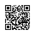 2411-211 DECAL,TAILGATE-LH