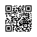 2411-241 DECAL,SIDE LH 