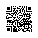 2411-278 DECAL,