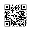 2411-279 DECAL,SNORKEL-UPPER (RICH MET ORG MP)