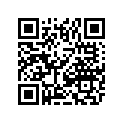 2411-443 DECAL,TAILGATE-CAMO