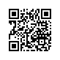 2411-640 DECAL,SIDE-MET BLACK-RH (425 CR)