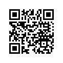 2411337 HARNESS-MAIN,SINGLE,INTL,NONPS