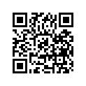 24125-38200 BUSH