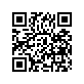 24131-24504 