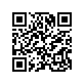 24135-743-000 BOOT