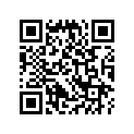 24201-046-000 Shifter