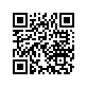 24231-325-00 FORK