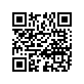 24241-24404 .gear, 4th Drive (nt:22)