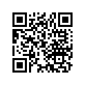 24241-969-000 Shaft