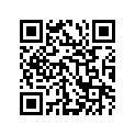 24251-05C11-000 