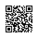 24251-17E60-000 